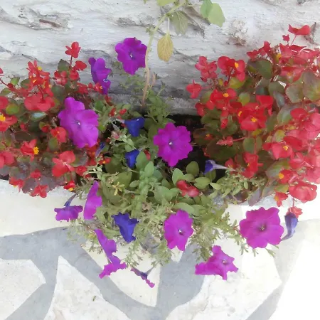 Le Clos Fleuri منتزه العطل 4*